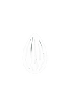 Separador 1