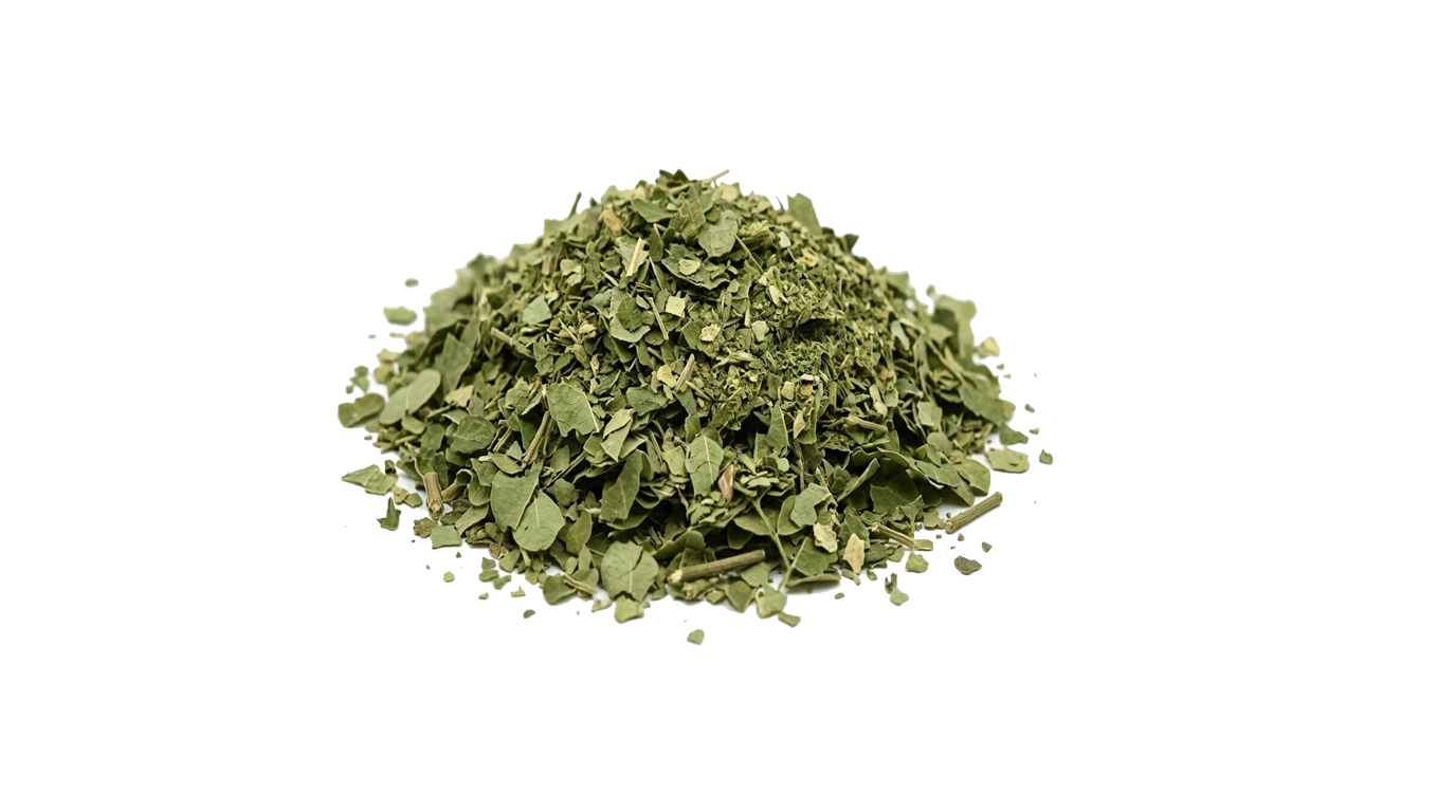 Hoja de Moringa
