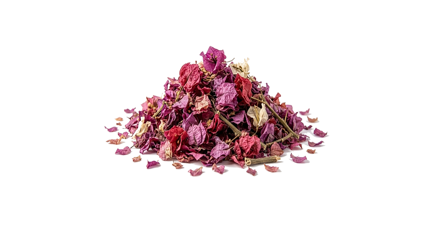 Flor de Bugambilia