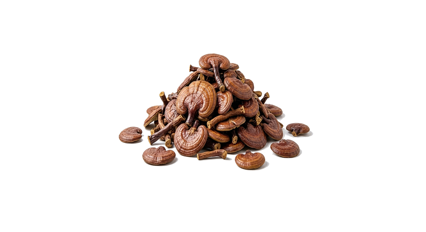 Hongo Reishi Entero