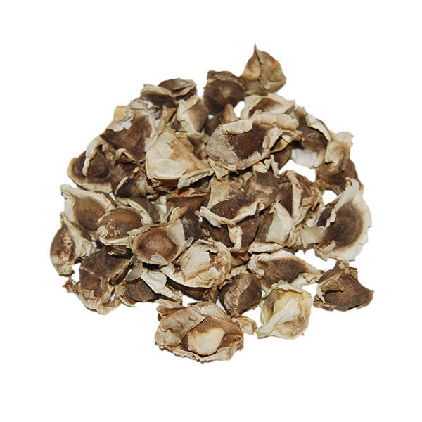 Semilla de Moringa
