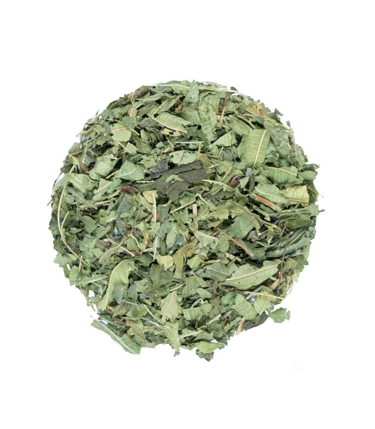 Verbena Deshidratada