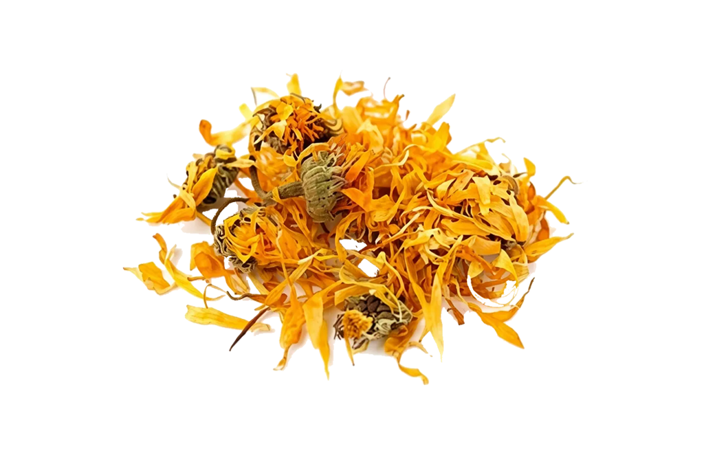Flor de Caléndula Entera
