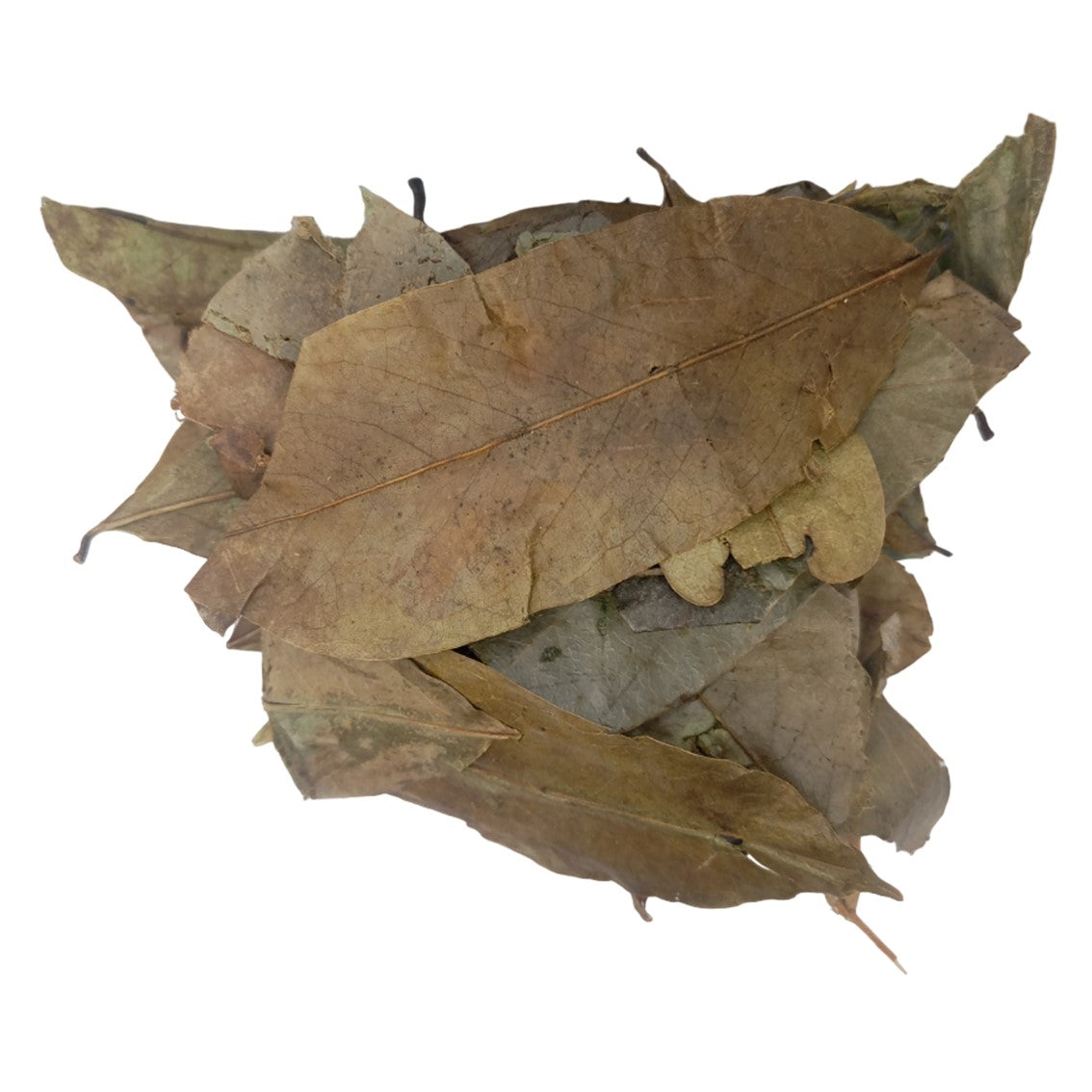 Hoja de Guanábana Deshidratada
