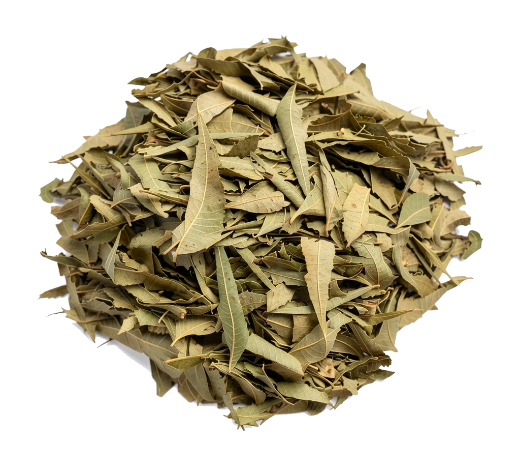 Hoja de Neem Deshidratada