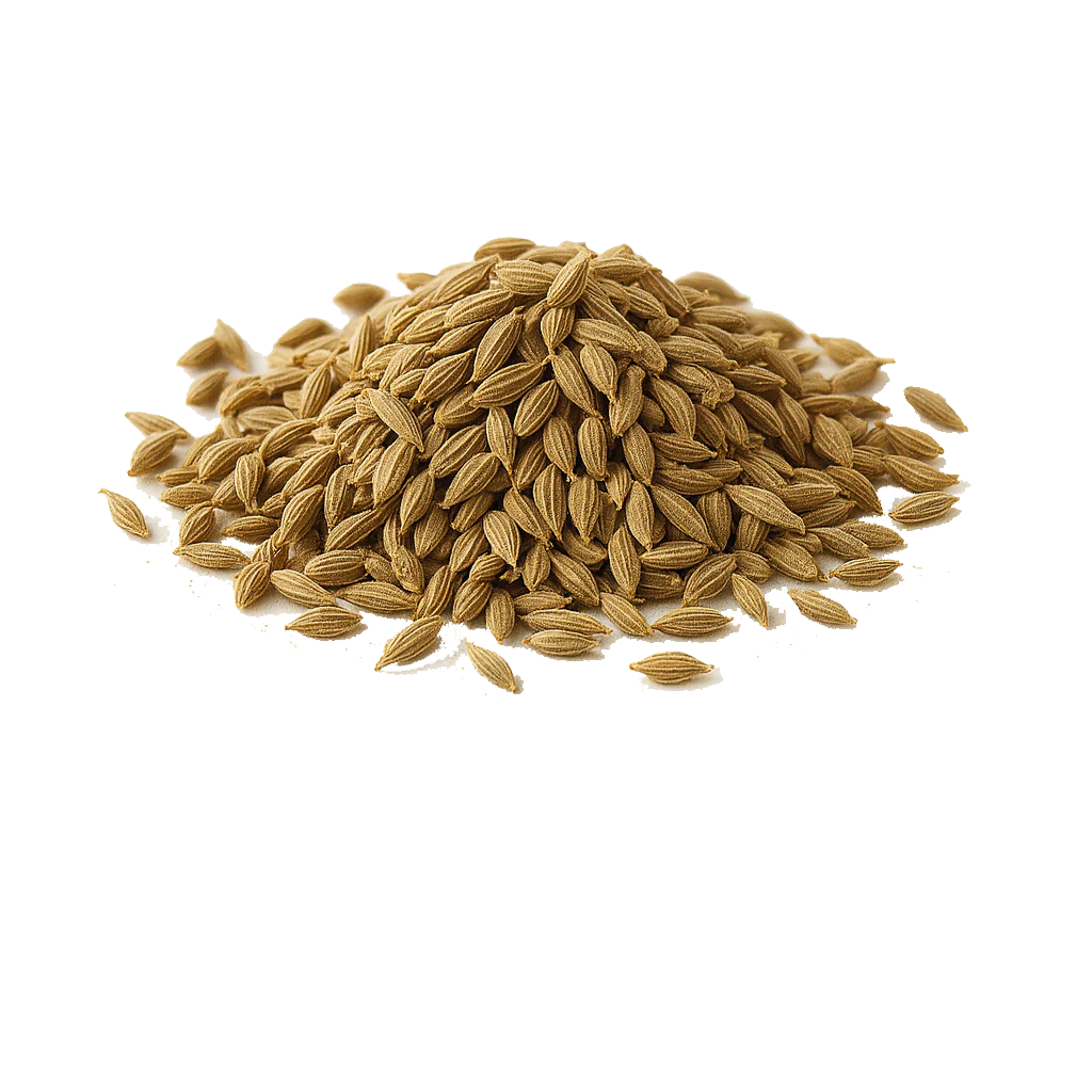 Semilla de Anís