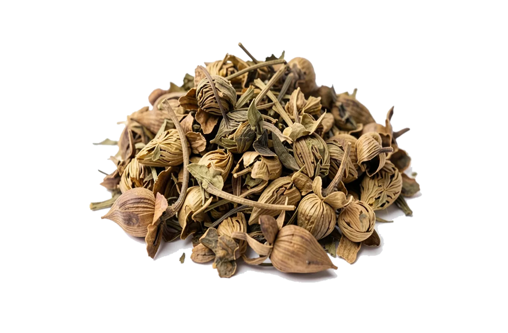 Flor de Tila Deshidratada